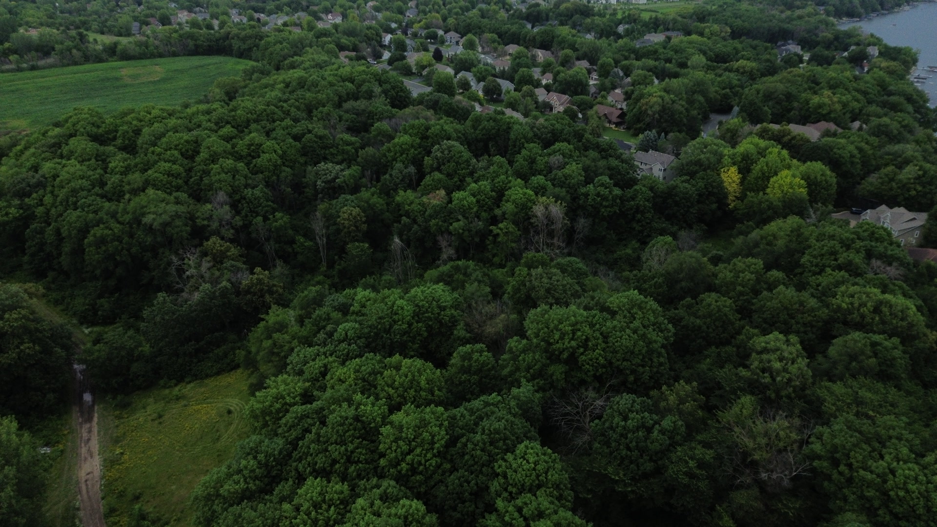 Vierling Shores — lot layout